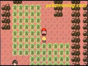 Pokemon Dark Rising & Kaizo Download [UPDATE] - PokemonCoders