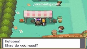 Pokemon Heart Gold NTEVO ROM - Rombats