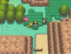 Pokemon Heart Gold Nds Rom Usa Randomizer