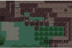 cycling in pokemon altered emerald game version
