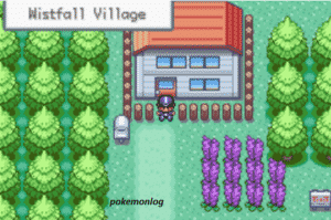 wistfall village in amaryllis pokemon game