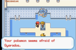 pokemon afraid of gyarados
