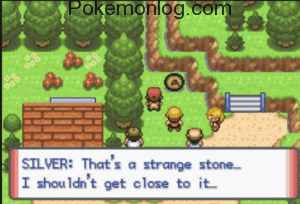 That is a strange stone