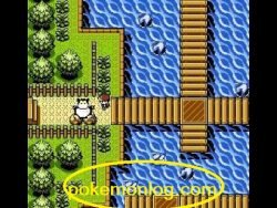 pokemon diamond pc emulator