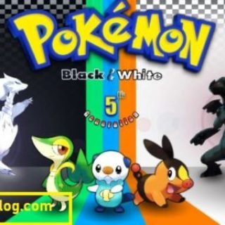 download black and white game
