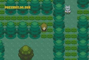 pokemon unbound green area