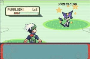 Pokemon Mega Emerald X and Y Download (Fixed)