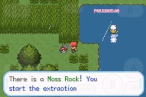 there is a moss rock