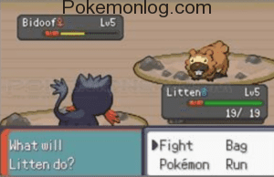 what will litten do