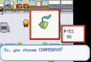 you choose chapebaya
