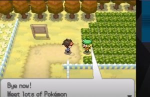 Pokemon Black 2 - Randomizer ROM - Nintendo DS (NDS) Download