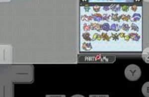 Screenshot of pokemon black random