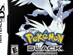 pokemon black 2 rom randomizer