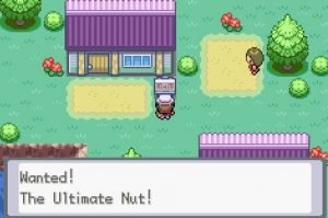 The Ultimate Nut