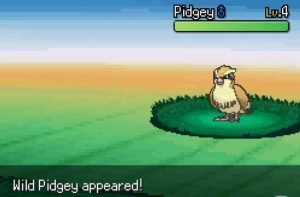 Wild Pidgey appeared