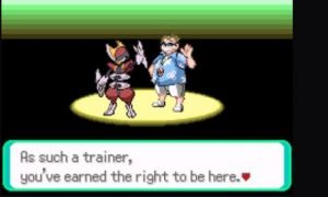 As a trainer