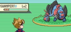 Wild Swampert appeared