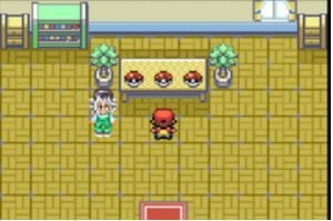 a visit to the pokemon center