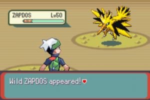 Wild Zapdos appeared