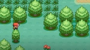 visiting the fields in Pokemon Dimension Legends