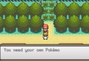 you need your pokemon