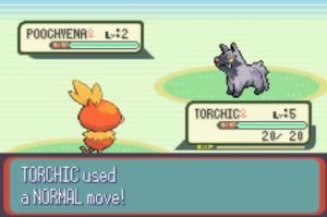 Torchic used a normal move