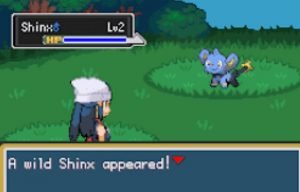 a wild shinx appeared