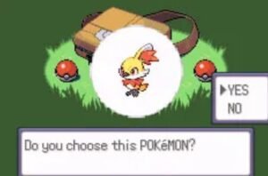 choose a pokemon