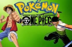 Pokemon FR One Piece