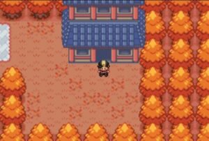 Screenshot_1 Pokemon Fire Gold