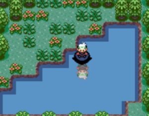 Screenshot_1 Pokemon Tim