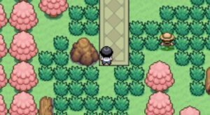 Screenshot_3 Pokemon Valen